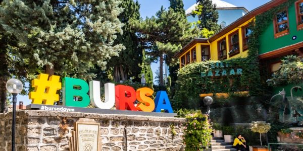 Bursa Lawyer